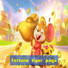 fortune tiger paga de madrugada